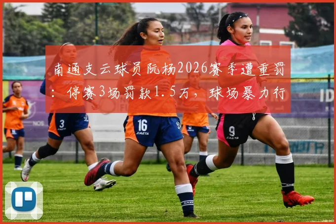 南通支云球员阮杨2026赛季遭重罚:停赛3场罚款1.5万,球场暴力行为如何界定?