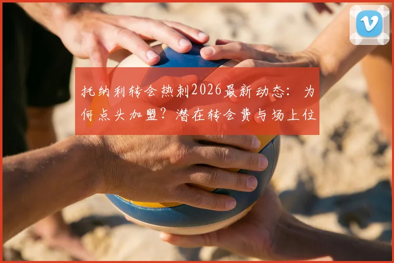 托纳利转会热刺2026最新动态：为何点头加盟？潜在转会费与场上位置全面解析