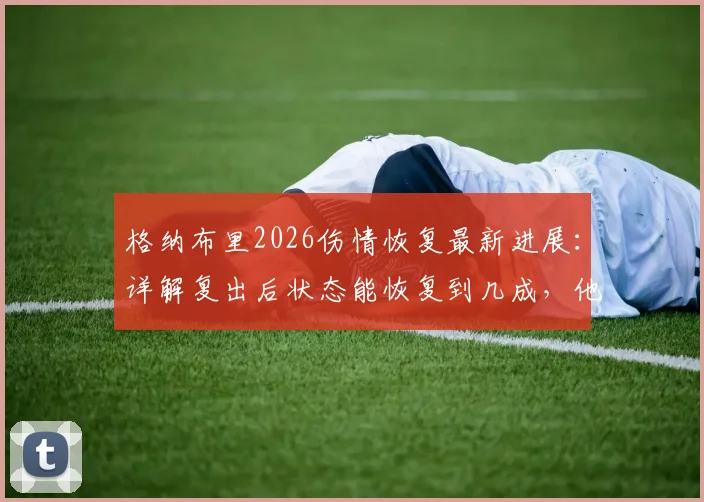 格纳布里2026伤情恢复最新进展:详解复出后状态能恢复到几成,他与萨内谁对拜仁更重要